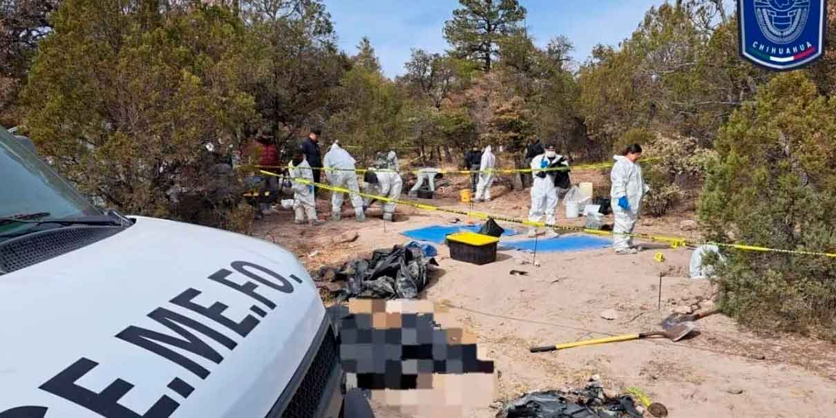 HALLAZGOS ESCALOFRIANTES. En “El Willy” encontraron 81 cuerpos en fosas clandestinas