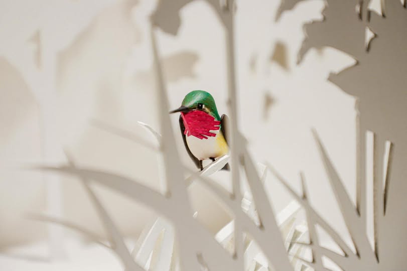 ANUNCIA SECRETARÍA DE CULTURA EXPOSICIÓN QUE RINDE HOMENAJE AL COLIBRÍ MORELENSE