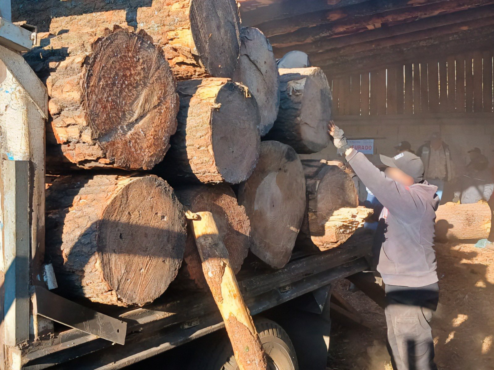 CLAUSURAN Y DESMANTELAN 2 ASERRADEROS EN HUITZILAC, MORELOS